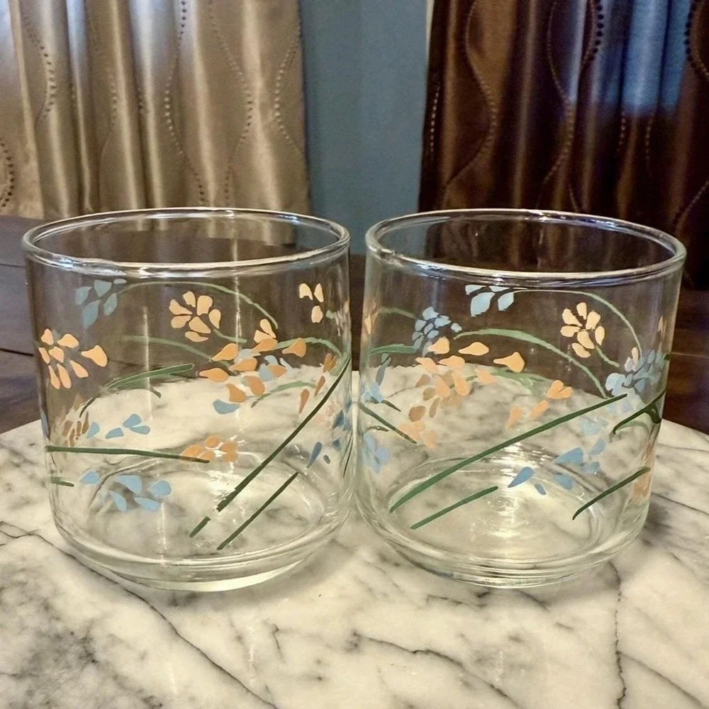12pc VTG 1950s Mexican Termocrisa Glass Glasses Peach Blue Floral Flowers Mexico